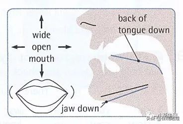 剑桥英语音标发音视频教程,英语发音规则表剑桥英语