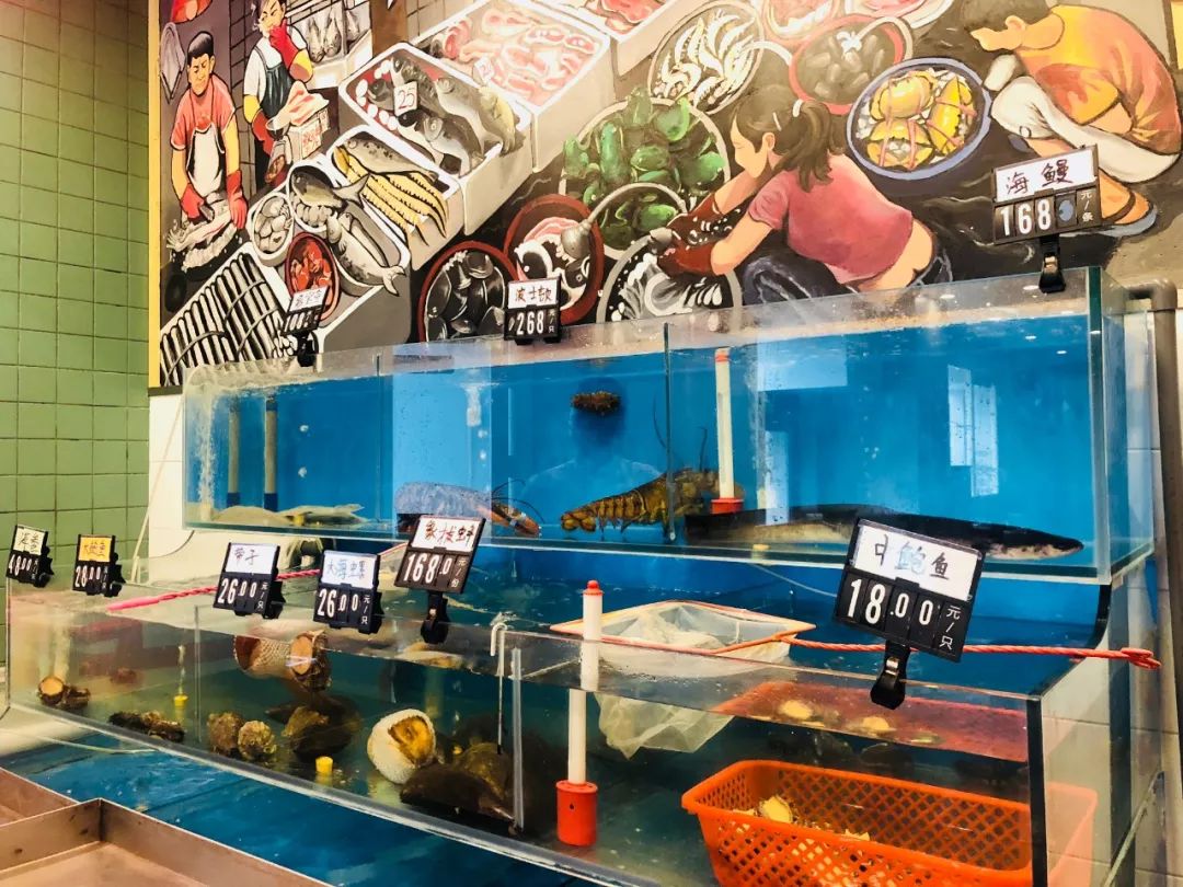 香港帅哥为了爱情来郑州,也带来了香港地道花胶鸡