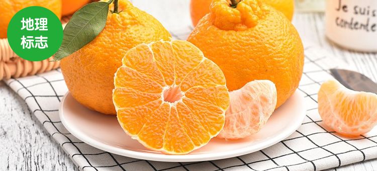 国家地理特色水果之蒲江丑柑,蒲江丑柑