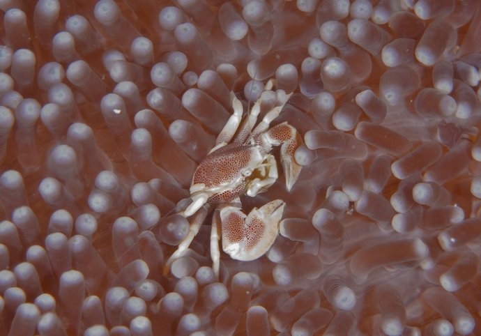 海底你不知道的东西,海底世界东海龙宫