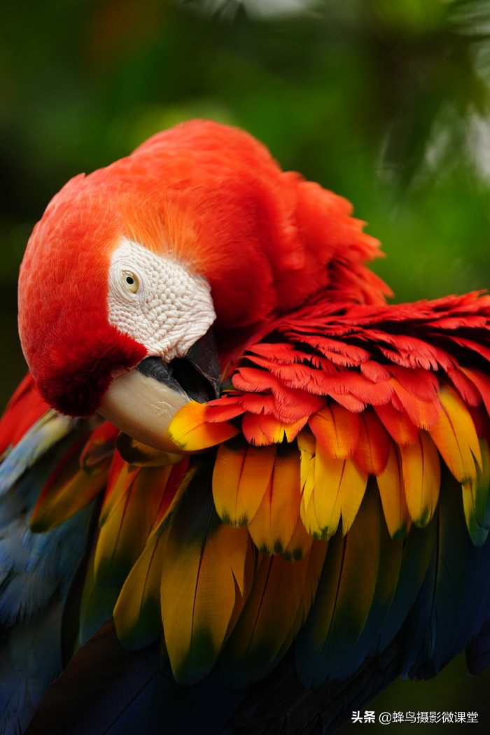 索尼sel200600g配什么相机,索尼sel200600g