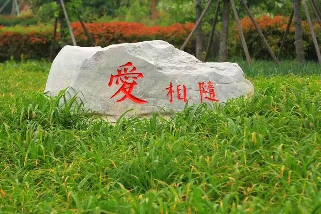 5.17遇见Ta在一起|这里有个不一样的脱单机会，速来~