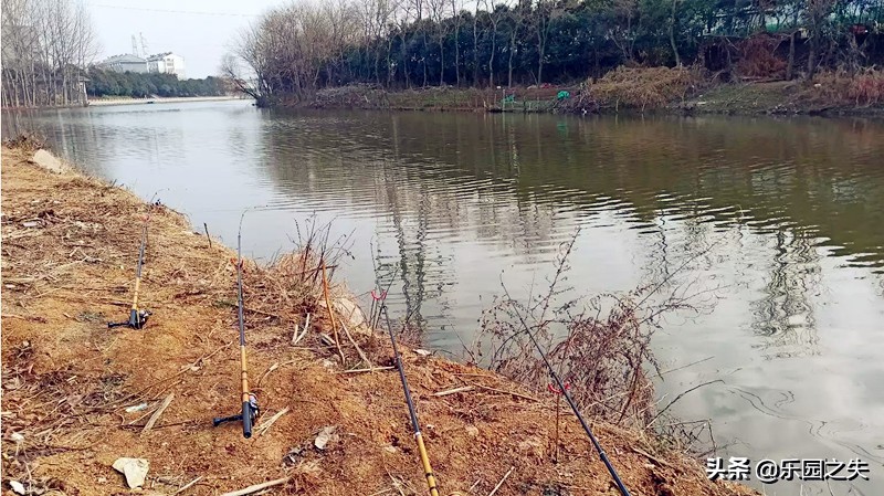 冬季岸筏作钓鲫鱼，掌握这些技巧与细节处理，事半功倍