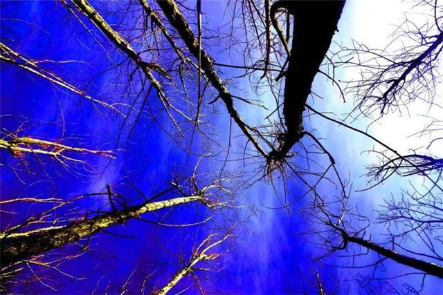 对仗手法口诀大全,对仗的技巧和方法