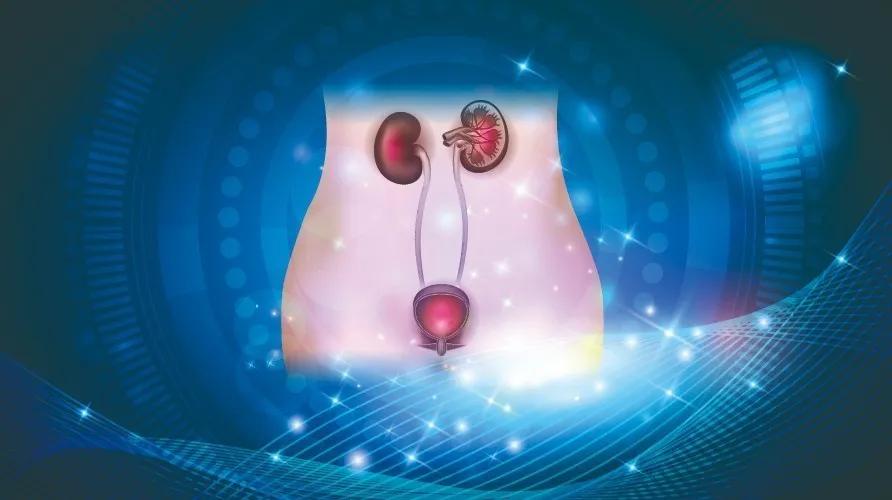 1/2女性发病，下尿路感染你应该知道