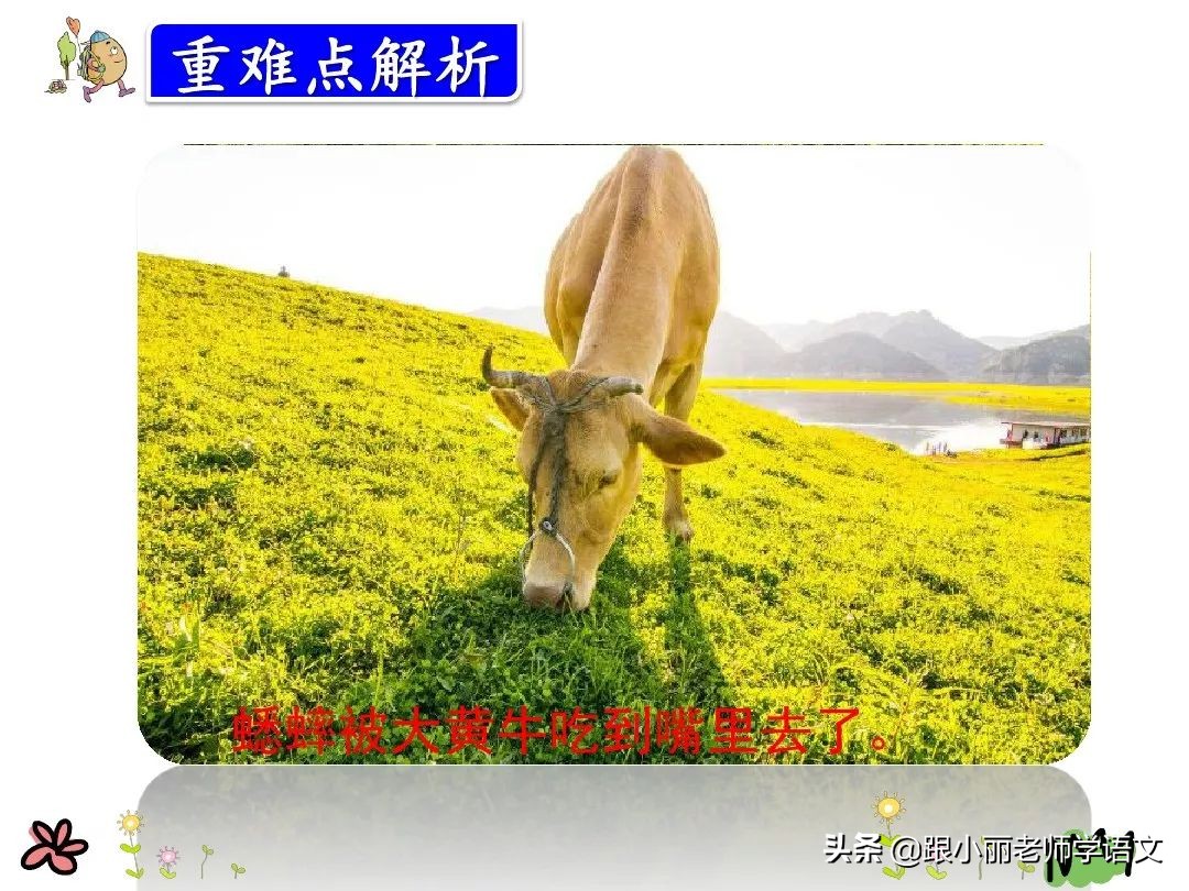 三年级在牛肚子里旅行的中心思想,三上语文在牛肚子里旅行课文讲解