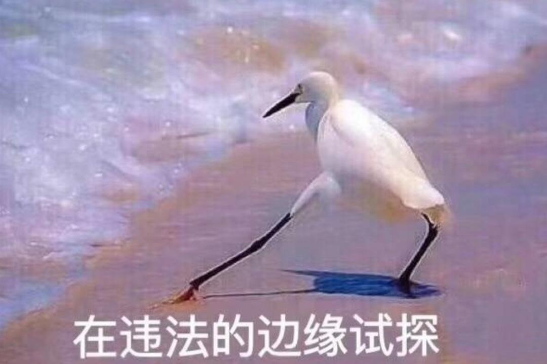 刷宝app的视频,刷宝app可以赚钱