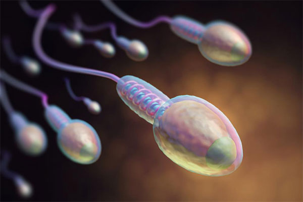 塑料污染对动物的危害,塑料污染对生物多样性的影响