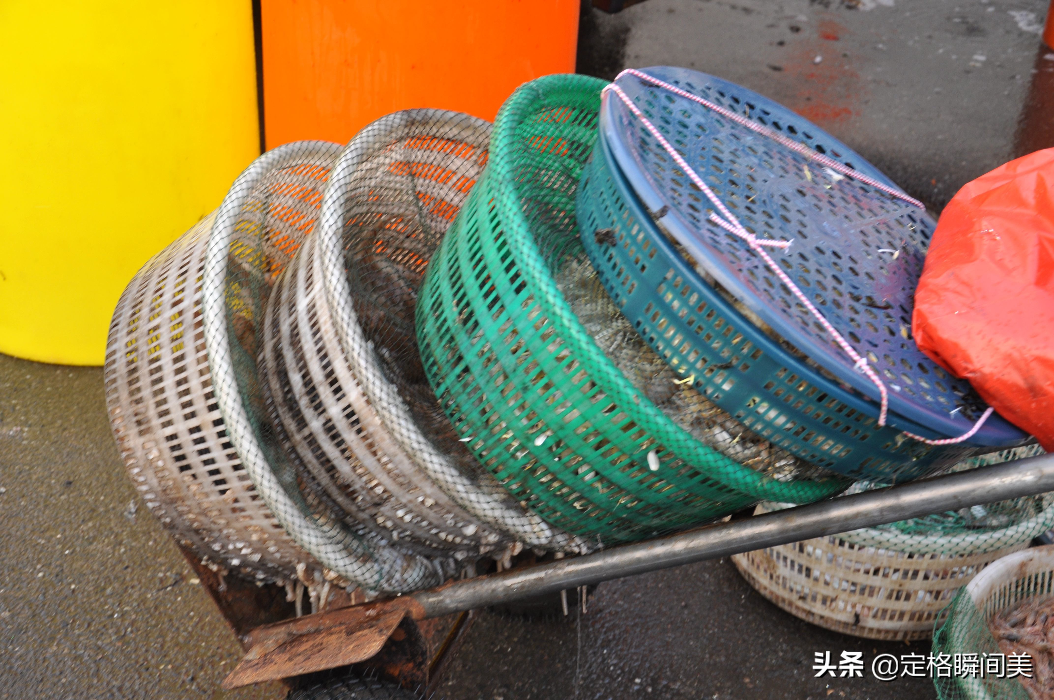 青岛批发市场海虾,青岛早市海虾