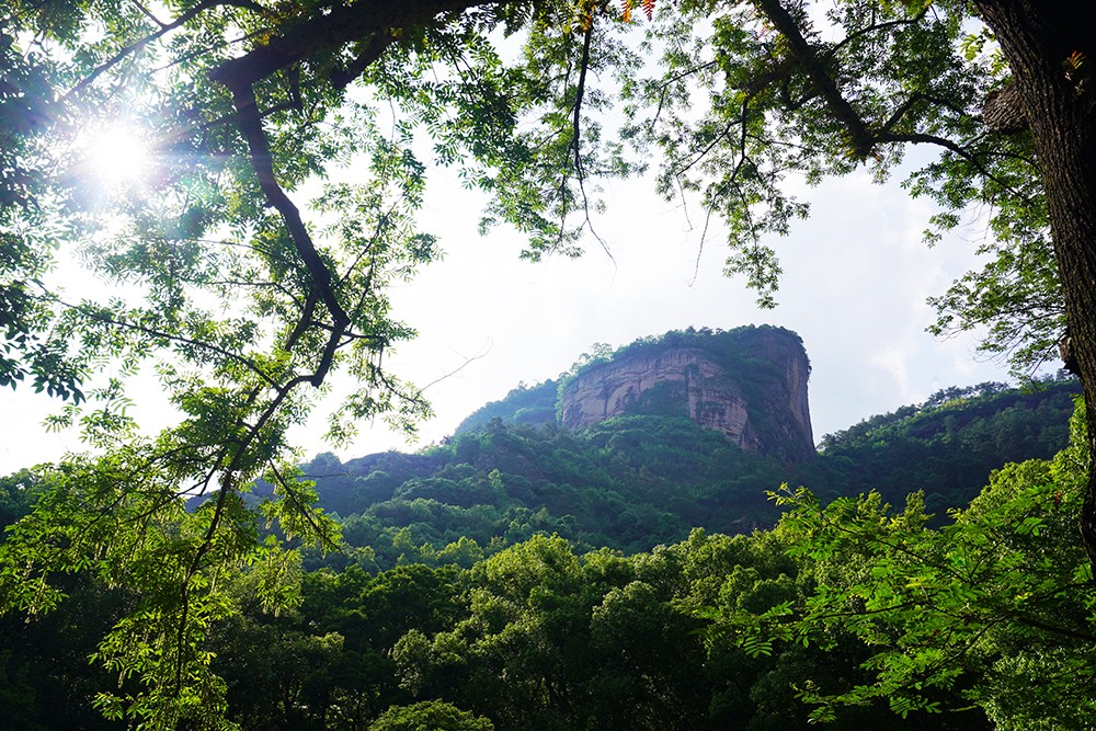 武夷山千禧大酒店金凤凰,武夷山千禧酒店温泉