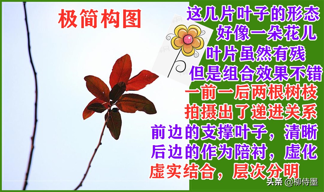 摄影新手如何拍摄照片教程,新手学习摄影入门第一步