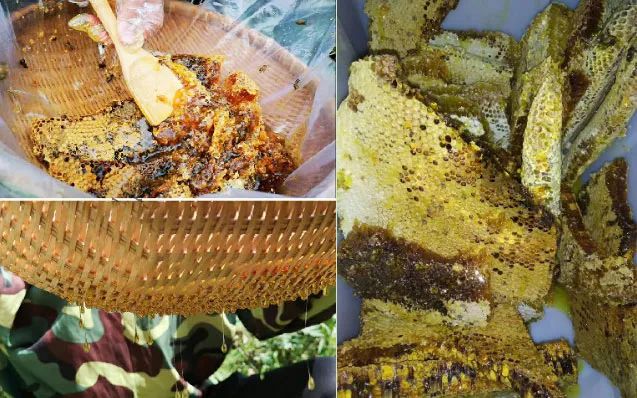 学会这3个小方法轻松买到真蜂蜜,一分钟带你如何辨别蜂蜜