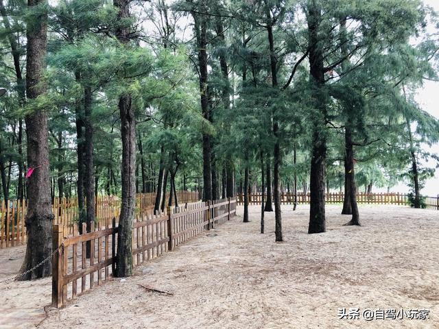 人少景美野营地,适合露营的亲子游