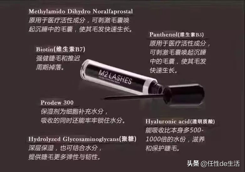 扇形分段式假睫毛,扇形假睫毛老款