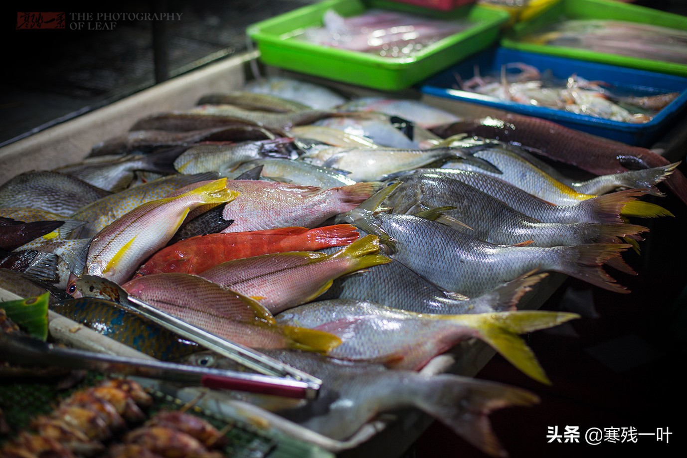 马来西亚沙巴海鲜馆,马来西亚夜市火爆大鱿鱼