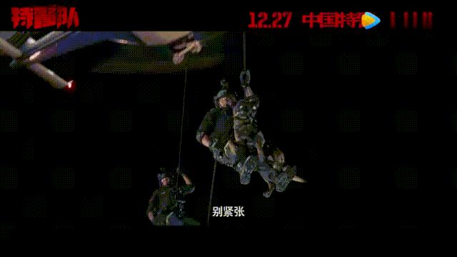 中国特警队全部视频,特警队真实特警亮相尽显中国力量