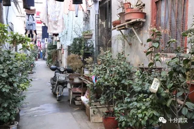 2000年武汉一元路,武汉一元路的老街