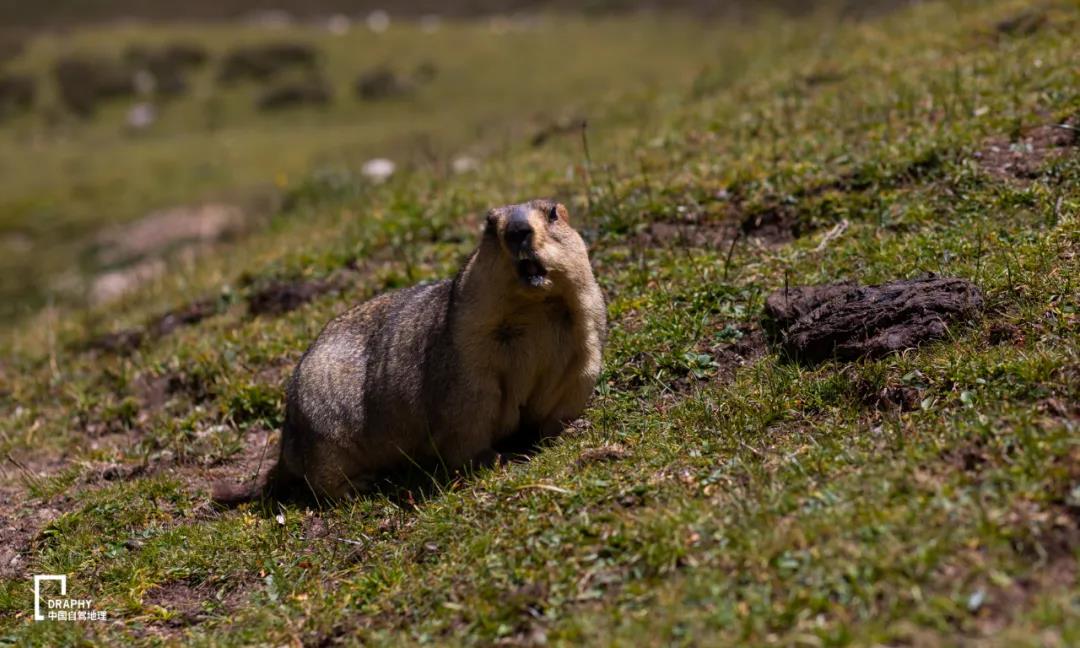 青海大环线必玩景点,青海小众神仙景点
