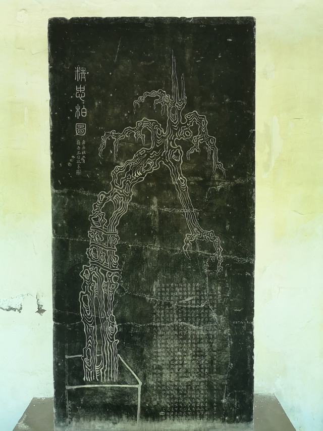 杭州岳庙,杭州岳庙所在地