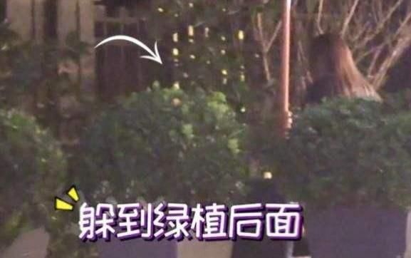 女星下班躲草丛吸烟，烟雾缭绕太明显，助理帮掩护被指烟瘾太大