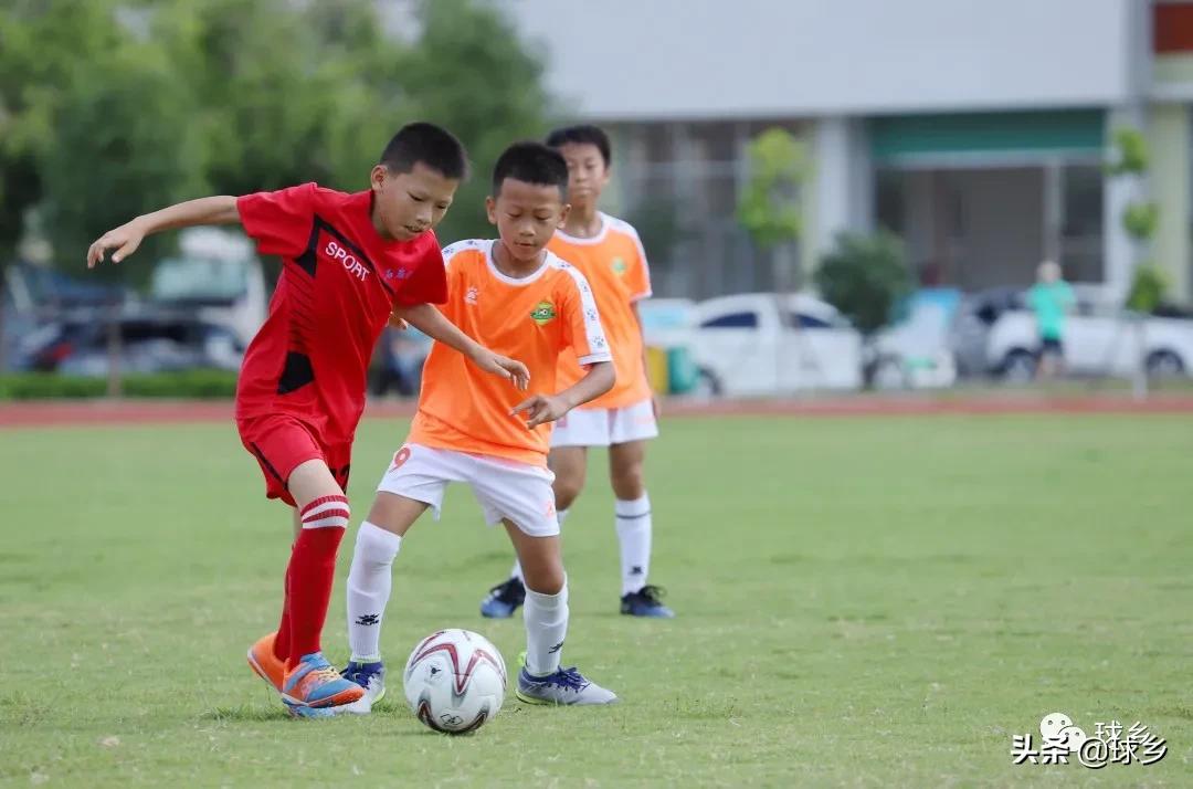 区中小学足球联赛,体教融合杯中学篮球赛
