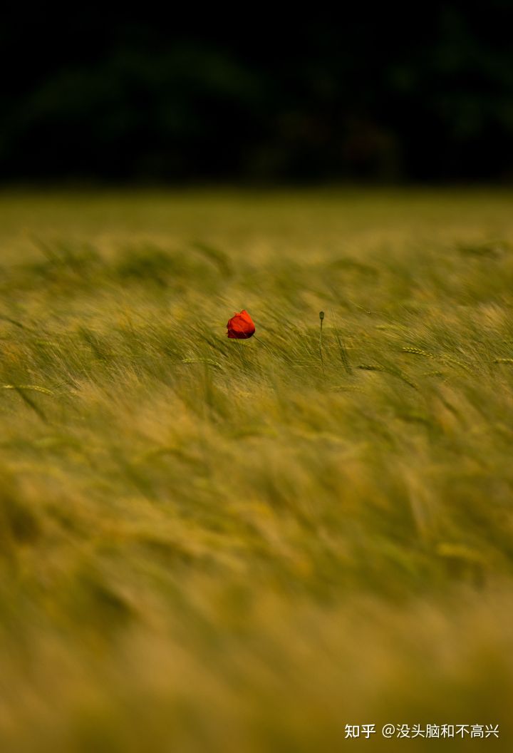 意外和惊喜总是错落而至,意外和惊喜总在不经意间如期而至