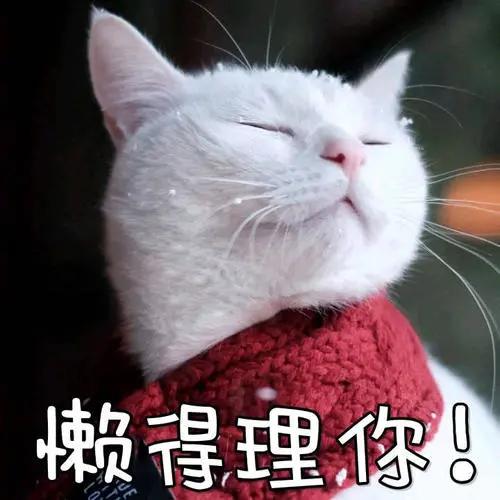 talktoyou什么意思啊,什么叫talktoyoulater