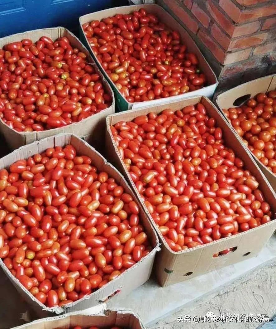 国庆去内蒙古旅游景点,国庆去哪儿最好玩内蒙