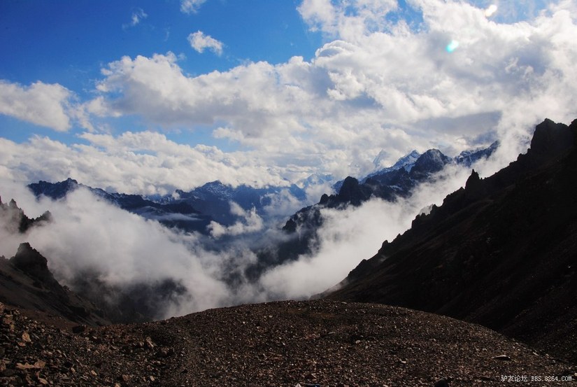 狼c调简谱教唱,狼c