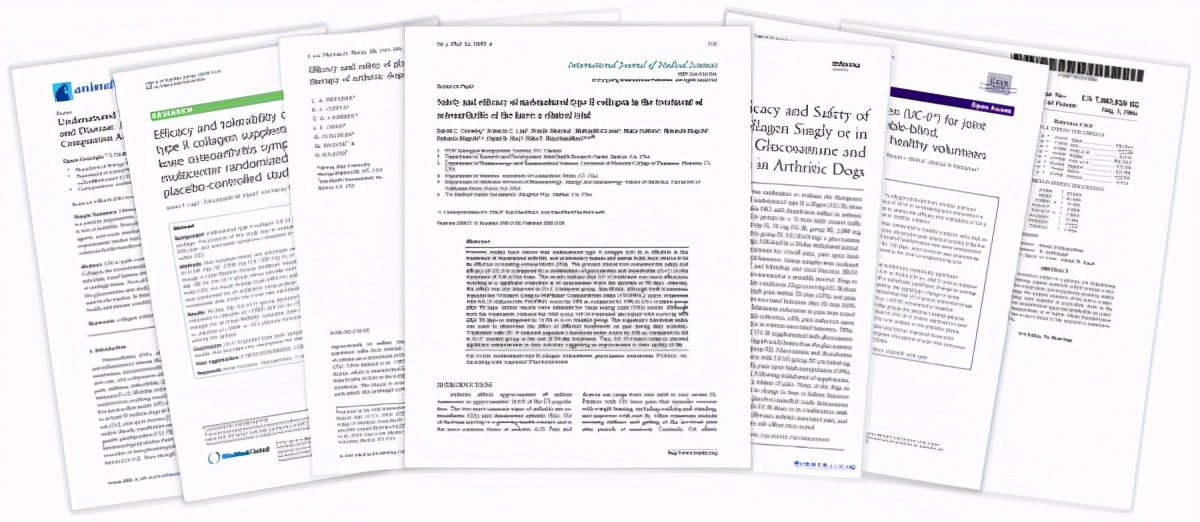 麦德氏亮相东西部小动物展，关节类新品UC-II斩获高人气