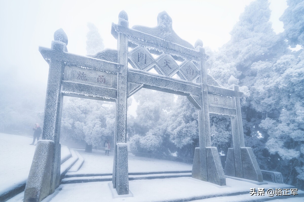 鍗楄僵灏忚鍏ㄩ泦鍏嶈垂闃呰,鍗楄僵浼犲鏁呬簨