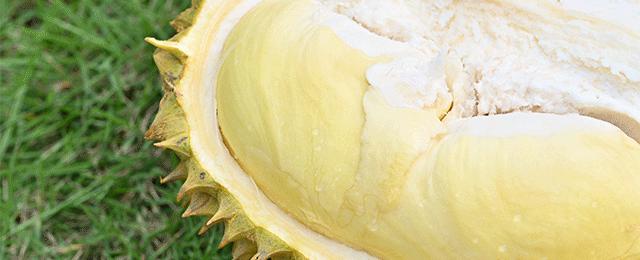 椰椰奶冻茶，会抖臀！1秒卖出1000+杯，有人开货拉拉来买…