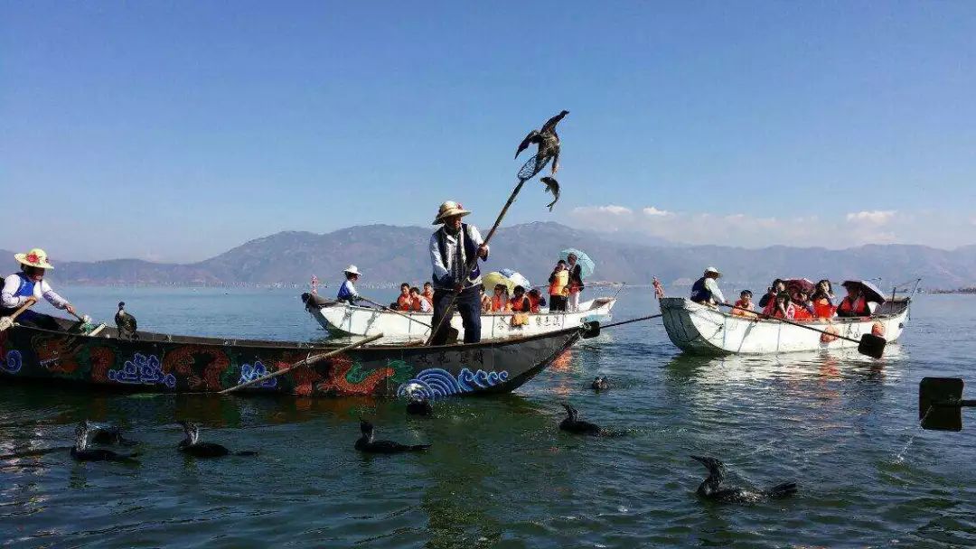 每个人的旅行清单，都有个云南，或迟或早，我们都将到达那方天地