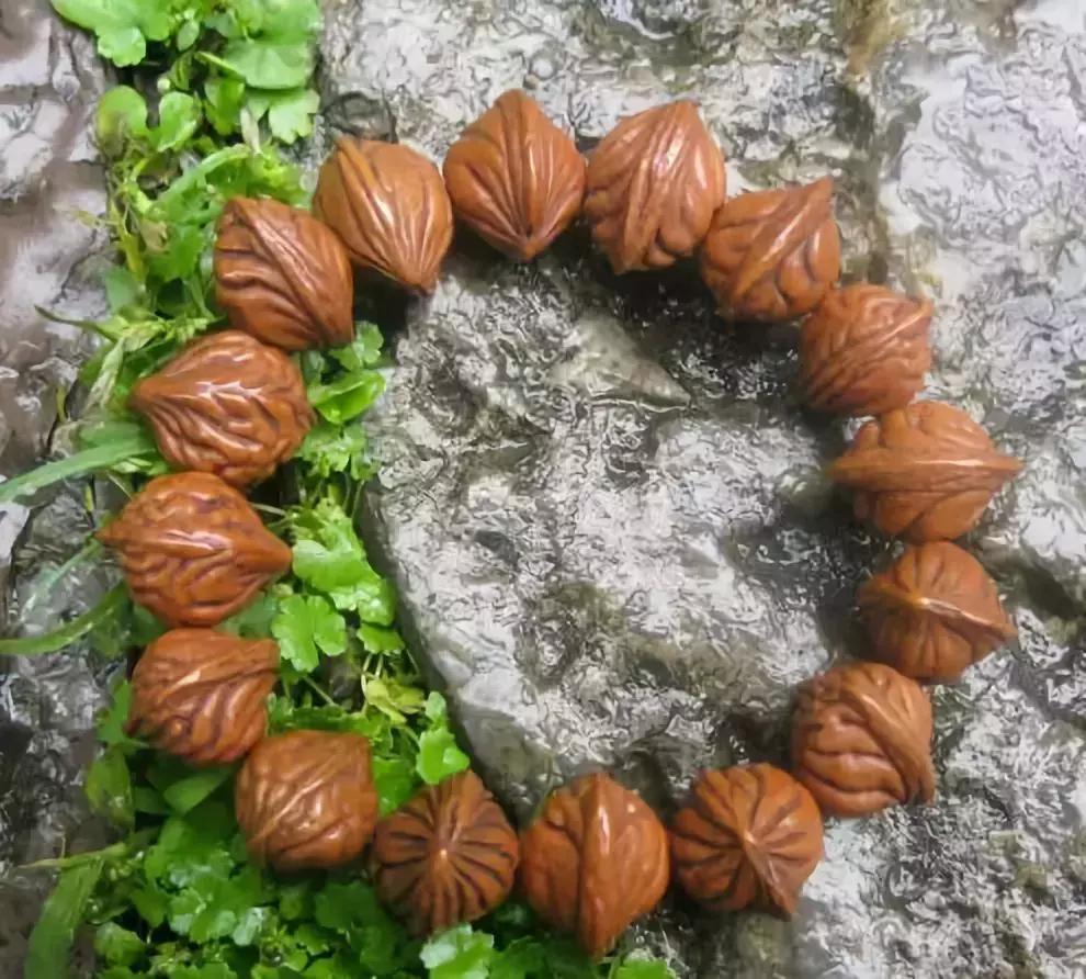 最全的菩提子图解太美了,最好的菩提子