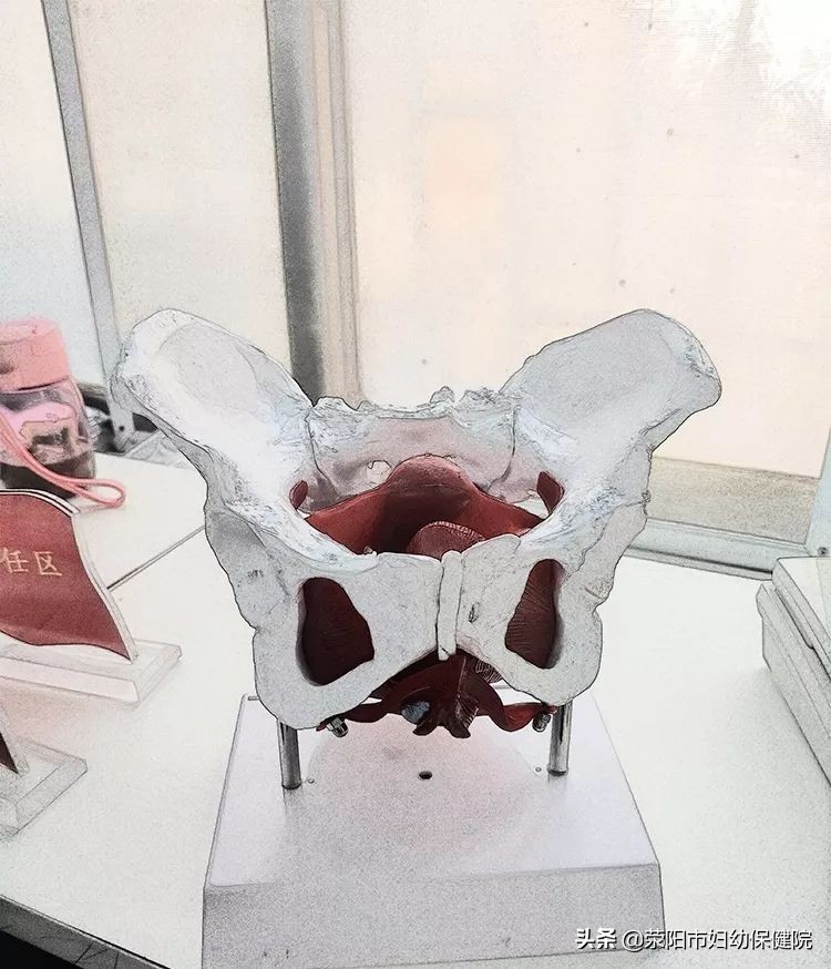 产后调理院原视频,产后调理院在线观看完整版