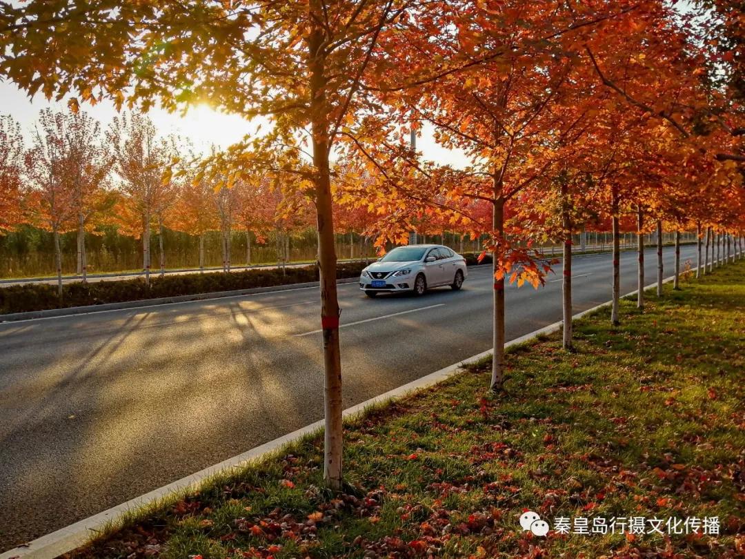 秦皇岛秋天美景,秦皇岛秋天落日和晚风