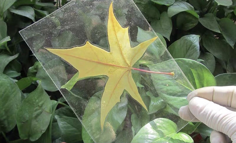 亲子游7天短期旅行必备物品,亲子旅行用品必备神器