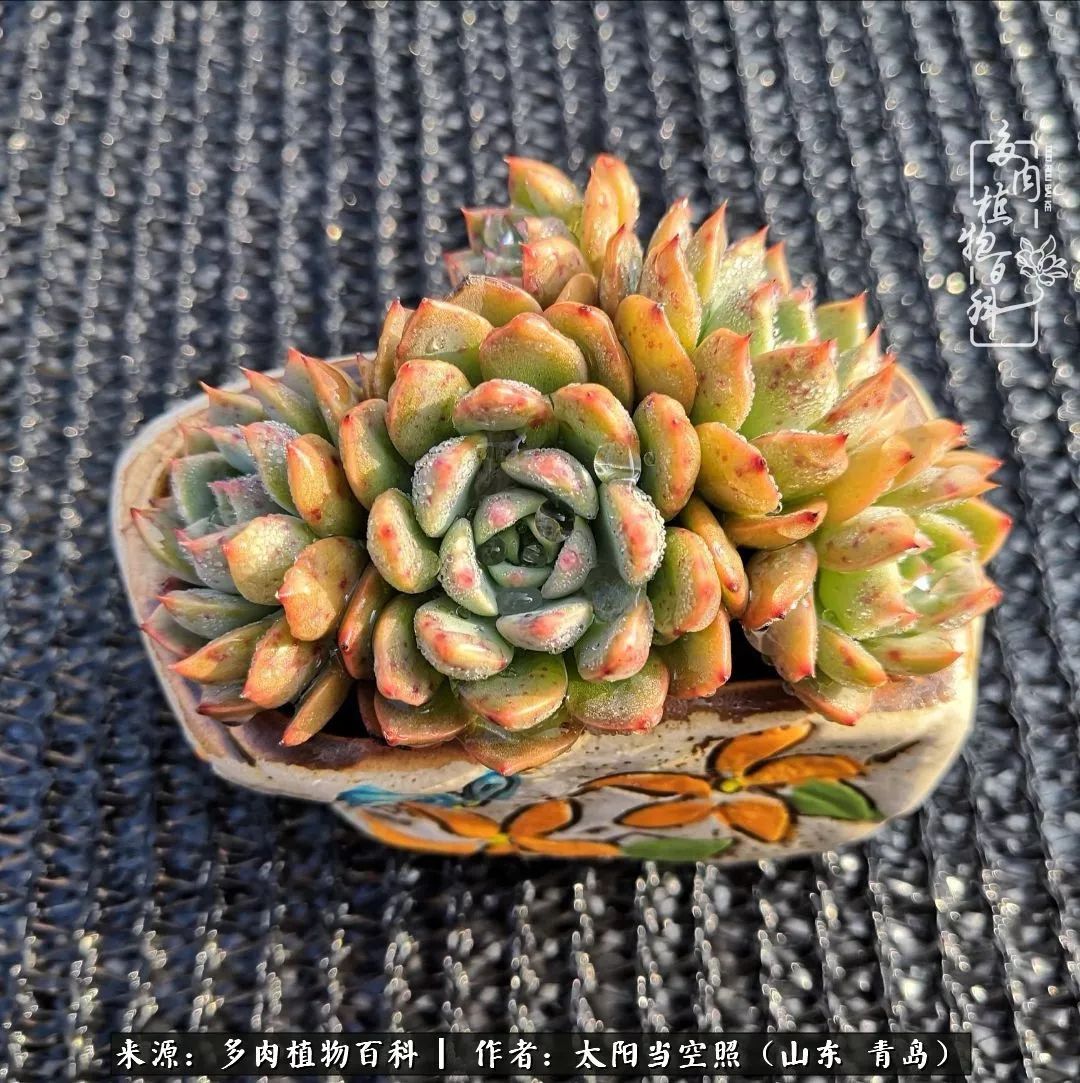 离家在外才发现最难忘的是故乡情,离家在外看见家乡的东西