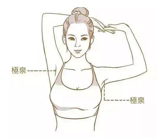 五脏的养生方法包括哪些方面,五脏健康保健秘诀