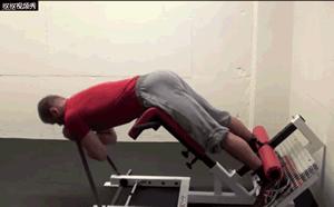 适合下背疼痛的7种核心训练动作,下背没力量怎么练