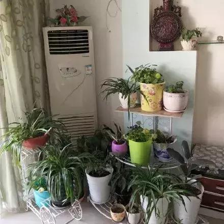 哈哈哈太刺激了！花了20w装修新房，结果被爸妈装成了公共厕所……