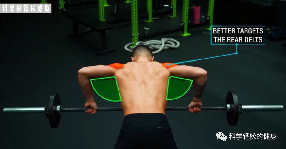 背部肌肉训练计划虐出完美的背肌,背部各个肌肉位置锻炼方法