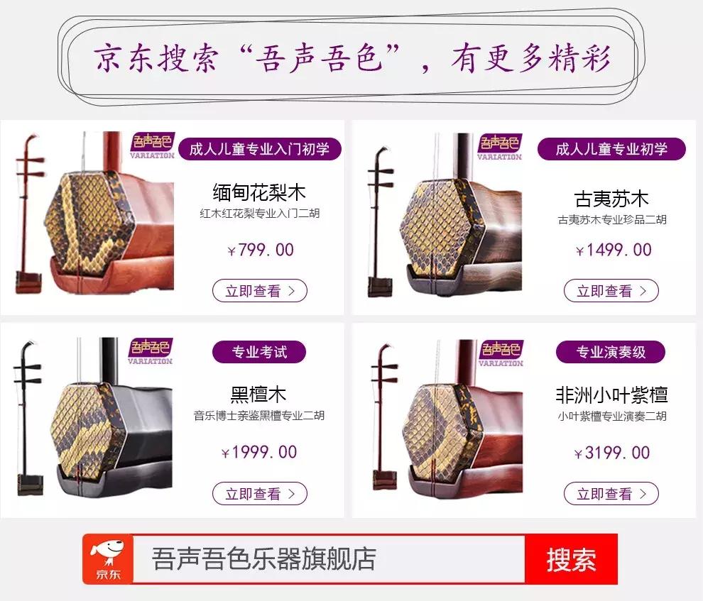 琵琶选购推荐,琵琶的选购常识