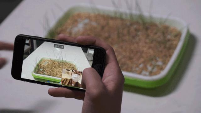 新款iphonese有啥优点,苹果se系列最值得入手的手机