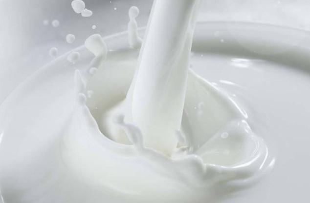 20种狗不能吃的食物,几种食物狗狗不能吃