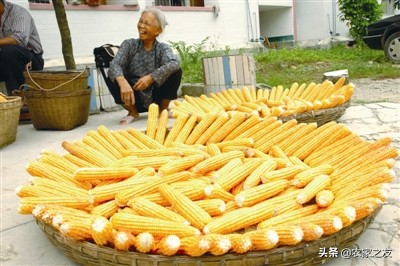 巴马火麻汤哪里最正宗,巴马特色美食火麻仁汤做法