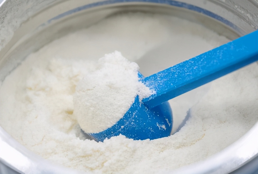 刚领养的猫不吃东西怎么办,猫咪产后不吃不喝是什么原因