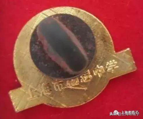 「川沙县篇」回望上世纪八九十年代的上海学校，有侬的母校伐？