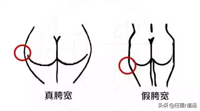屁股大假胯宽腿粗最简单方法,改善假胯宽屁股大的动作