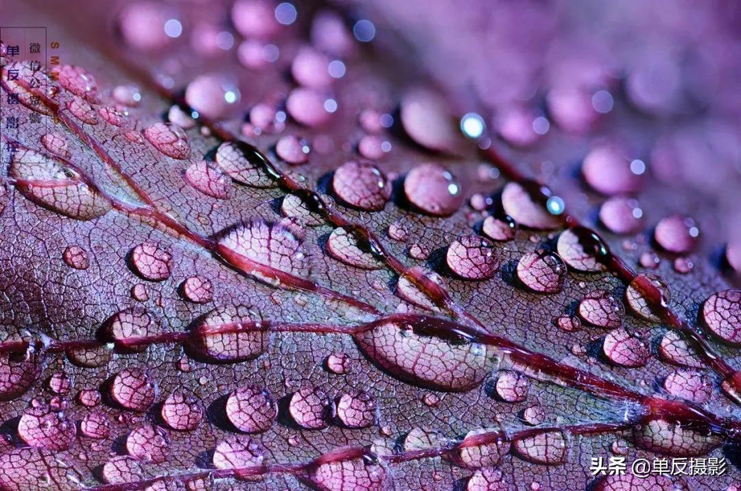 摄影模糊的质感怎么拍的,摄影后期照片质感